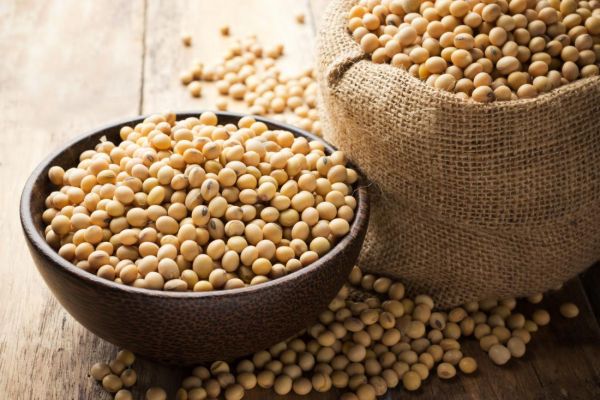 4 Herbal Penurun Kolesterol Tinggi, Nomor 3 Sering Dipakai Masak