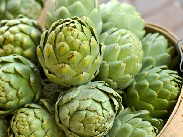 6 Obat Herbal Penurun Kolesterol Jahat, Nomor 3 Banyak Ditanam di Halaman Rumah