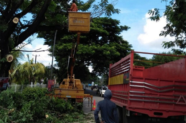 Tips Hadapi Musim Hujan, Nomor 3 Sering Terabaikan