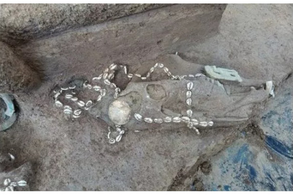 Arkeolog Ungkap Fakta Mengerikan dari Temuan Makam Bangsawan China Kuno