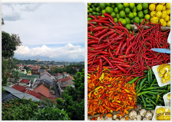 Begini Hasil Foto Kamera Samsung Galaxy S21 FE 5G