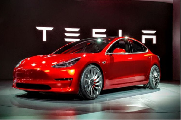 Digoda Tesla Sama Crazy Rich Sunter, Ghozali Everyday Tetap Ingin Studio Animasi