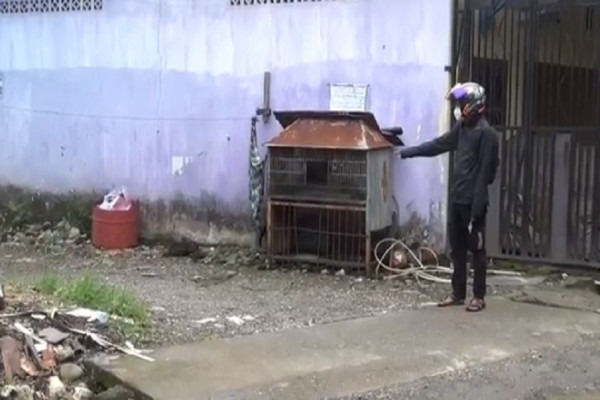 Memilukan! 2 Balita Terlindas Mobil saat Bermain di Perumahan, 1 Meninggal dan 1 Luka Parah