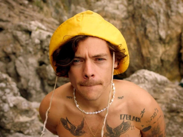 Harry Styles Ultah ke-28, Ini 5 Fakta Menariknya yang Jarang Diketahui