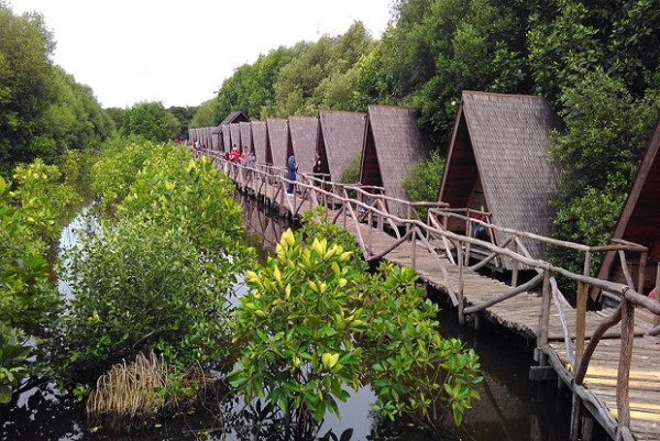 3 Tempat Paling Sejuk di Jakarta, Nomor 1 Resapan Air Sekaligus Wisata Edukasi