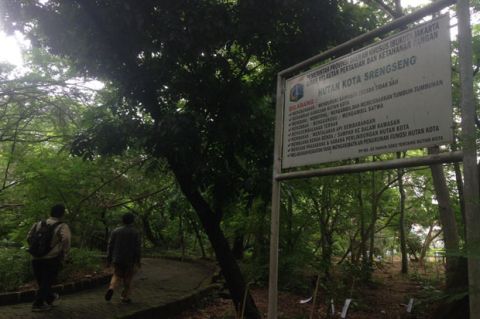3 Tempat Paling Sejuk di Jakarta, Nomor 1 Resapan Air Sekaligus Wisata Edukasi