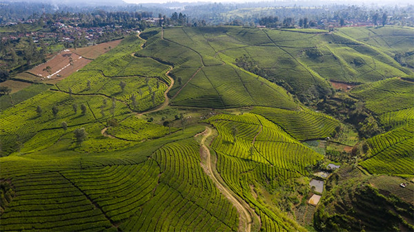 Jauh dari Kerumunan, 5 Objek Wisata Alam di Jabar Ini Pas Dikunjungi Keluarga di Akhir Pekan