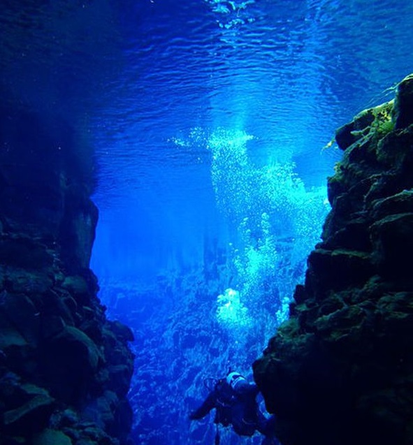 8 Tempat Paling Misterius di Laut yang Dihuni Hewan-Hewan Aneh