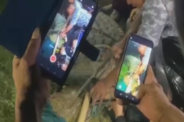 Penampakan Buaya Berkalung Ban saat Dilepaskan Hilli sang Penyelamat