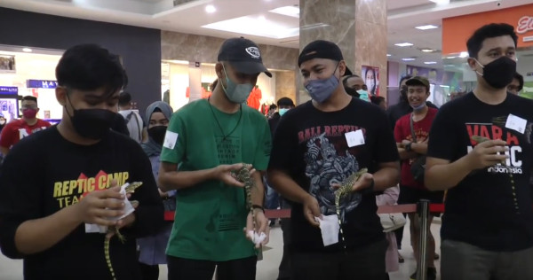 Kontes Unik, Puluhan Biawak Masuk Mall di Surabaya