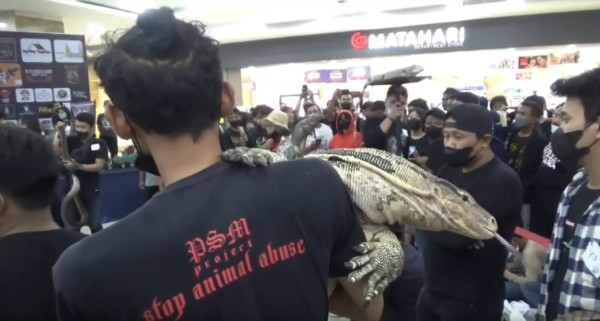 Kontes Unik, Puluhan Biawak Masuk Mall di Surabaya