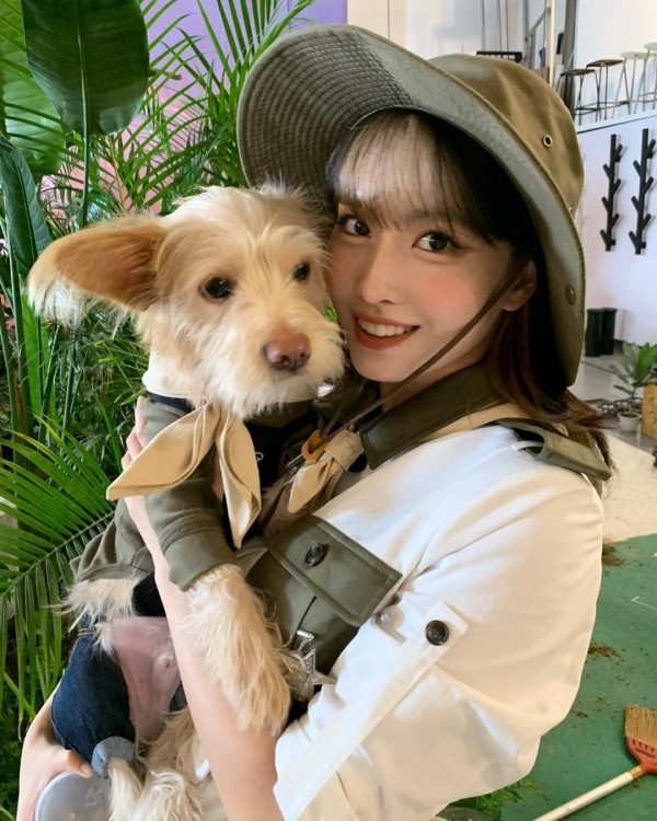 10 Idol K-Pop yang Adopsi Anjing Telantar, Ada yang Ditinggal di Pom Bensin