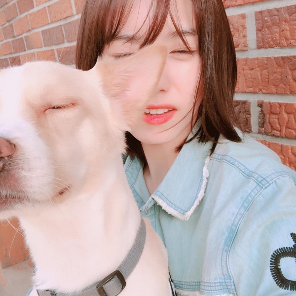 10 Idol K-Pop yang Adopsi Anjing Telantar, Ada yang Ditinggal di Pom Bensin