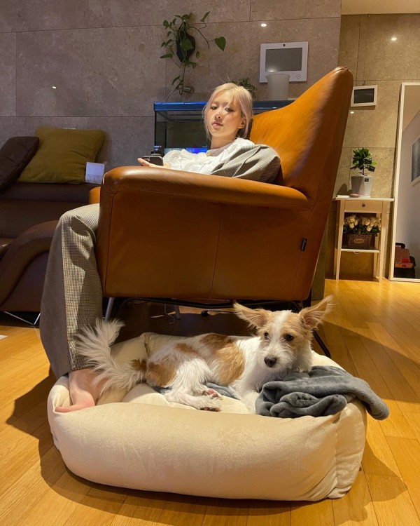 10 Idol K-Pop yang Adopsi Anjing Telantar, Ada yang Ditinggal di Pom Bensin