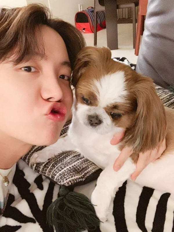 10 Idol K-Pop yang Adopsi Anjing Telantar, Ada yang Ditinggal di Pom Bensin