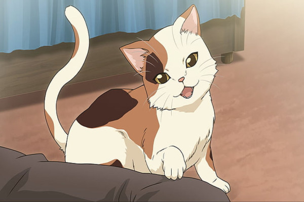 10 Kucing Anime Paling Populer, Ngegemesin Banget!