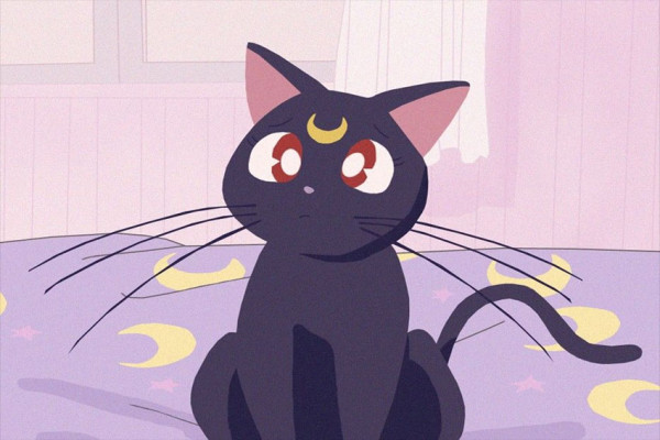 10 Kucing Anime Paling Populer, Ngegemesin Banget!