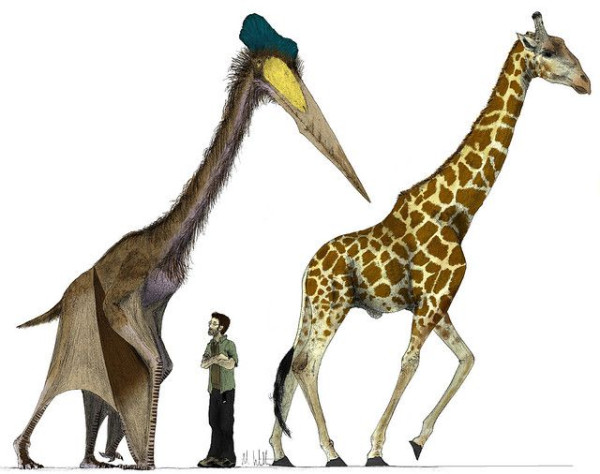Dinosaurus Mengerikan Ini Jadi Ancaman di Jurassic World Dominion
