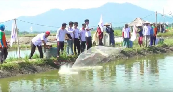 Partai Perindo Lampung Selatan Bina Warga Budidaya Udang Vaname
