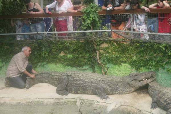 Buaya Tertua di Dunia, Nomor 2 Masih Hidup di Penangkaran