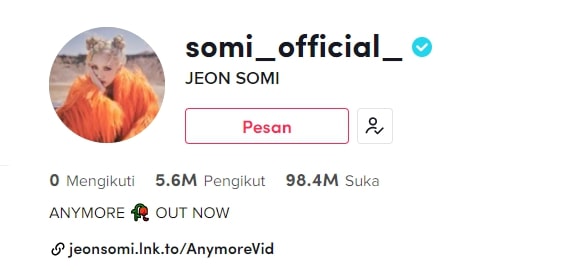 10 Grup dan Idol K-Pop dengan Follower Terbanyak di TikTok