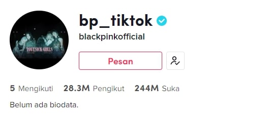 10 Grup dan Idol K-Pop dengan Follower Terbanyak di TikTok
