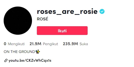 10 Grup dan Idol K-Pop dengan Follower Terbanyak di TikTok