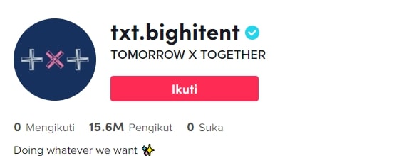 10 Grup dan Idol K-Pop dengan Follower Terbanyak di TikTok