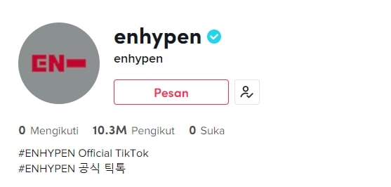 10 Grup dan Idol K-Pop dengan Follower Terbanyak di TikTok