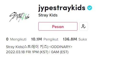 10 Grup dan Idol K-Pop dengan Follower Terbanyak di TikTok