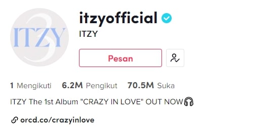 10 Grup dan Idol K-Pop dengan Follower Terbanyak di TikTok