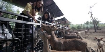 Liburan ke Malang? Ini 4 Destinasi Wisata yang Wajib Dikunjungi