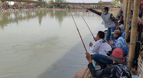Serunya Memancing di Madiun, Selain Ikan Juga Bisa Dapat Sapi Limosin