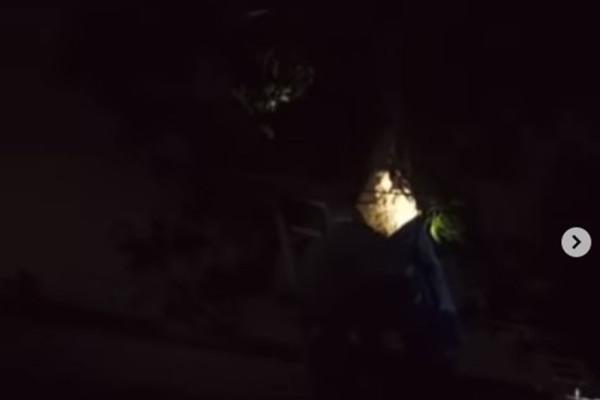 Damkar Evakuasi Sarang Tawon Berdiameter 60 Cm di Koja