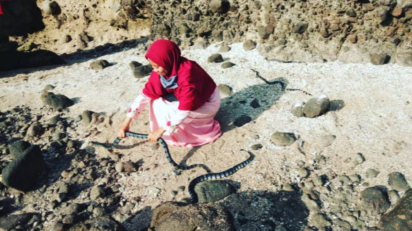 4 Pulau Ini Dihuni Lebih Banyak Ular Dibandingkan Manusia, Nomor 2 Ada di Indonesia