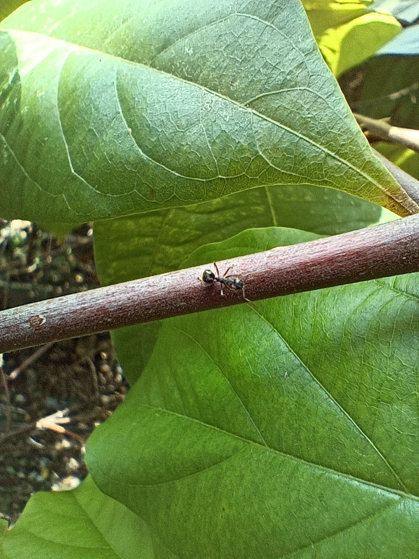 Ini Hasil Foto Kamera realme 9 Pro+, Suka Nggak?