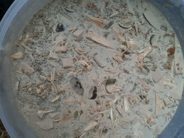 Wow, Sampah Sisa Sayur dan Buah-Buahan Bisa Diubah Jadi Hand Sanitizer