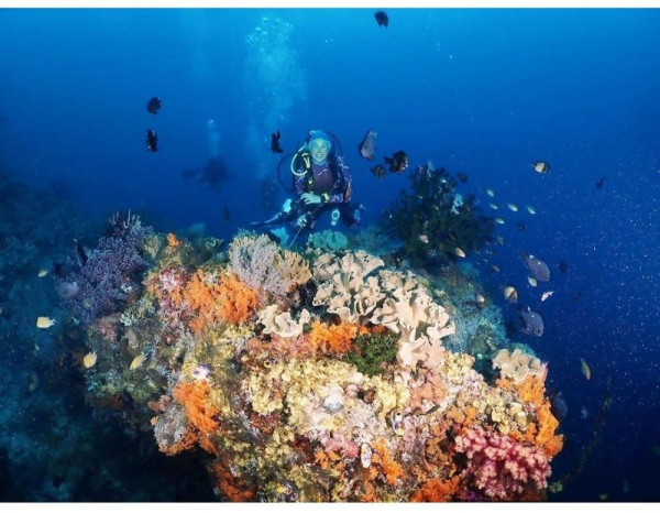6 Destinasi Sport Tourism Pakai Nama Artis Indonesia, Ada Tanjakan Luna Maya