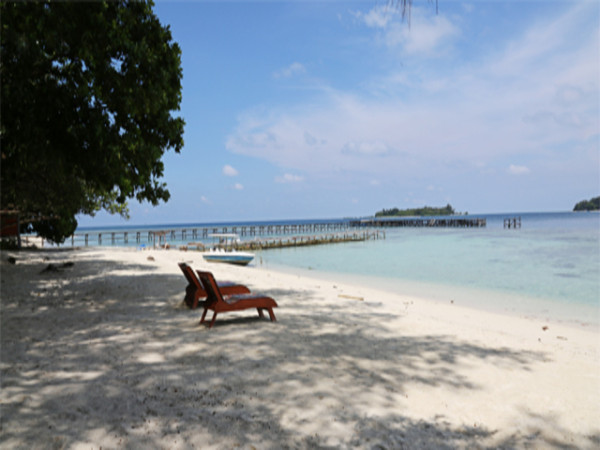 4 Pulau Terindah di Kepulauan Seribu, Banyak Dikunjungi Wisatawan Mancanegera