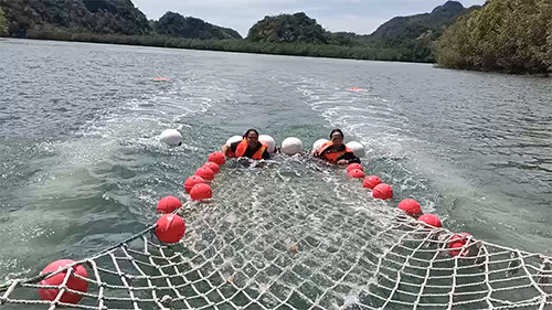 Wisata Mewah dengan Cruise di Langkawi, Berenang di Laut hingga Saksikan Atraksi Elang