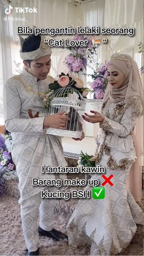 Viral! Pria Ini Jadikan Kucing BSH untuk Seserahan Pernikahannya