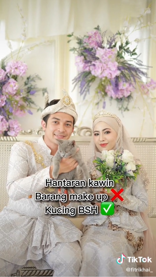 Viral! Pria Ini Jadikan Kucing BSH untuk Seserahan Pernikahannya