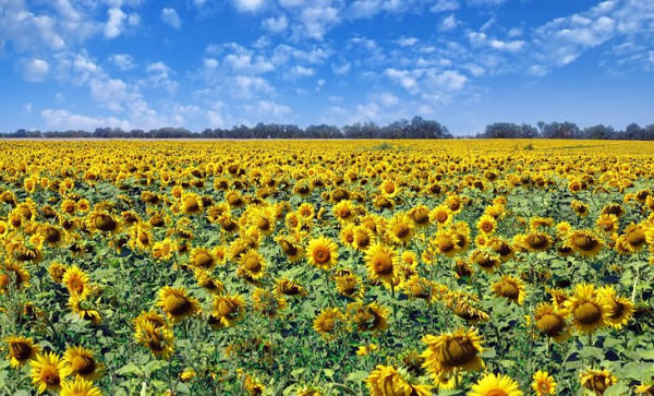 6 Destinasi Wisata Terbaik di Ukraina Sebelum Invasi Rusia