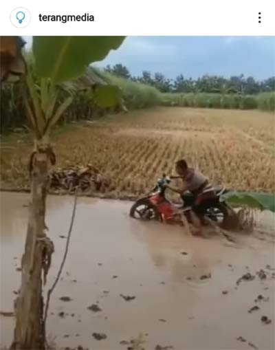 Viral! Bapak-bapak Bajak Sawah Pakai Motor, Netizen: Kasihan, Korban Konten