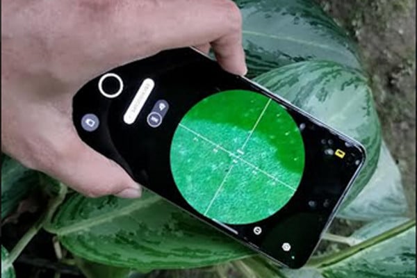 Kamera OPPO Reno7 4G Bawa Fitur Microscope, Bisa Lihat Kuman?