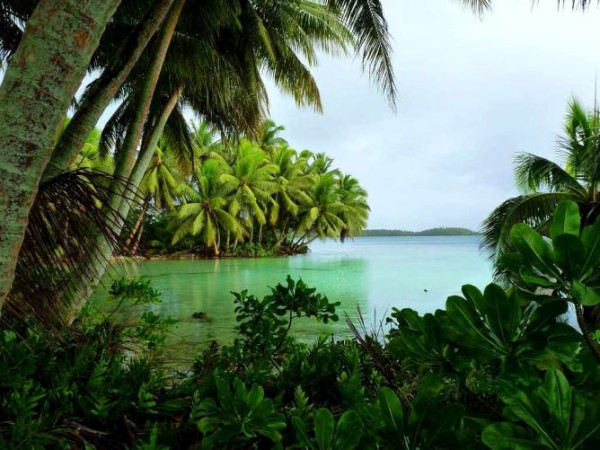 Palmyra Atoll, Pulau Berhantu yang Penuh Kejadian Mistis