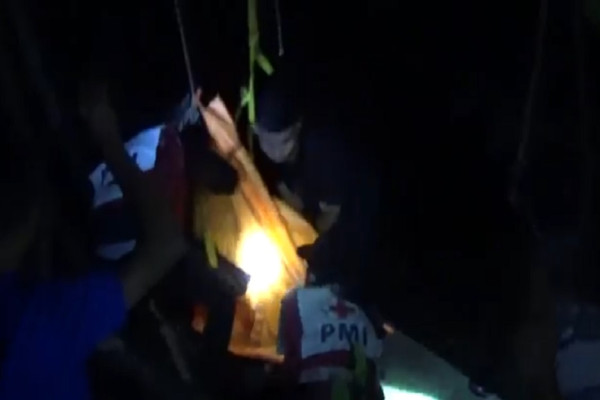 Penebang Pohon Berusia 70 Tahun Tewas di Ketinggian 20 Meter