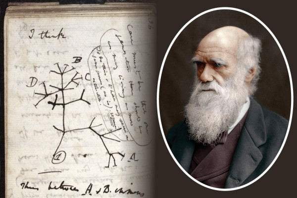 Buku Catatan Charles Darwin yang Dicuri 20 Tahun Lalu Kembali dengan Misterius