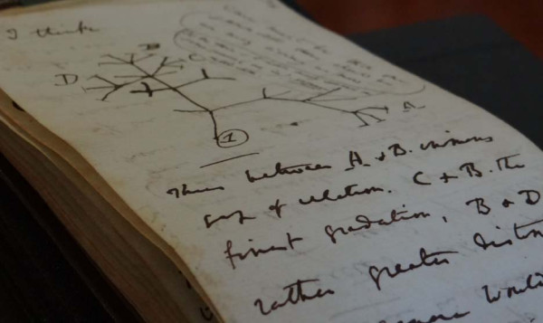 5 Tahun Keliling Dunia, Charles Darwin Tulis Teori Transmutasi Ketika Berusia 28 Tahun