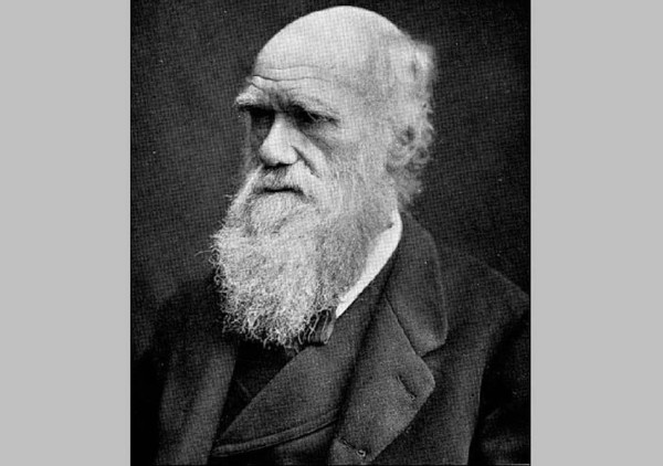 Begini Kronologi Misteri Kembalinya Sepasang Buku Charles Darwin yang Hilang 20 Tahun Lalu